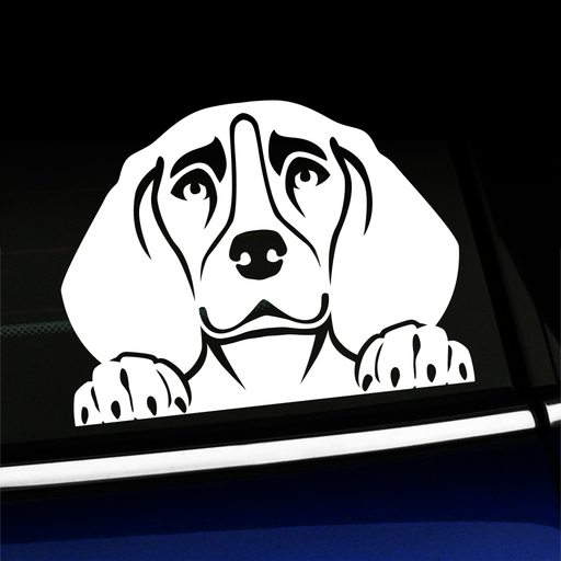 Peeking Beagle - Vinyl Decal